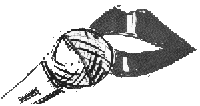 Voice-School